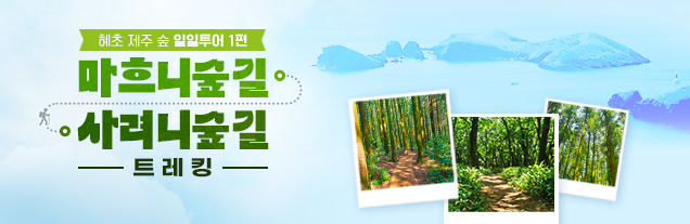 제주 일일투어 1편