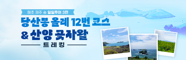 제주 일일투어 3편