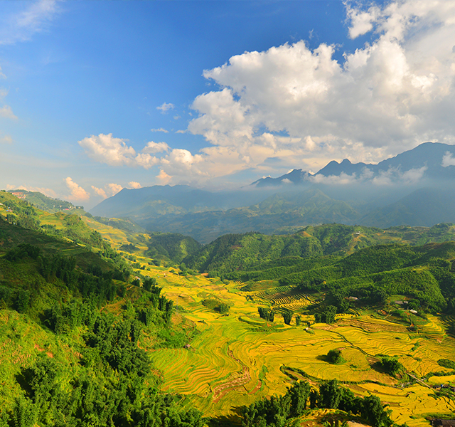 국내 유일! 베트남 남&middot;중&middot;북부 완전일주
