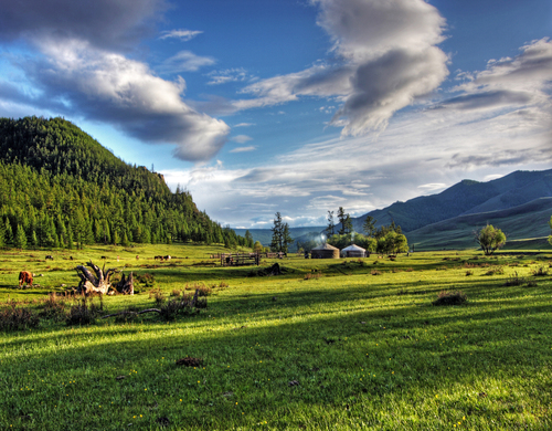 [몽골] 테를지국립공원+복드칸 트레킹 5일
