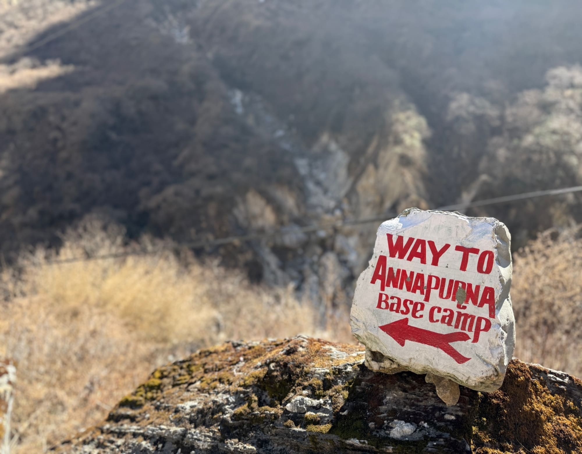 [안나푸르나] 베이스캠프 트레킹 9일